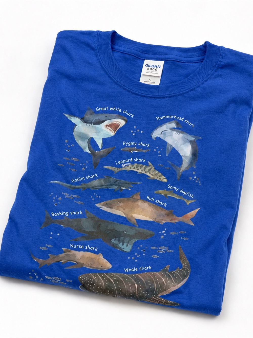 Gildan Royal Blue Shark Species Graphic Tee - Picture 3 of 4
